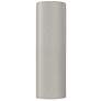 Ambiance 17"H White Crackle Tube Closed ADA Outdoor Sconce
