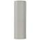 Ambiance 17"H White Crackle Tube LED ADA Outdoor Wall Sconce