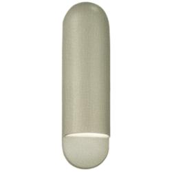 Ambiance 20&quot; High Celadon Crackle Capsule ADA Outdoor Sconce
