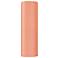 Ambiance 24" Open Gloss Blush Really Big Tube ADA Outdoor LED Wall Sco