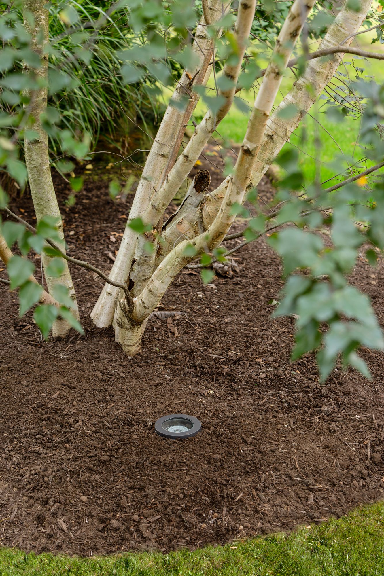 Ambiance 4 1/2" High Bronze 3000K LED Flat Top Well Light