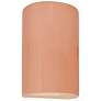Ambiance 9.5" High Gloss Blush Small Cylinder LED Wall Sconce