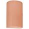 Ambiance 9.5" High Gloss Blush Small Cylinder LED Wall Sconce