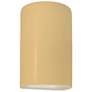 Ambiance 9.5" Open Muted Yellow Small Cylinder Outdoor Wall Sconce