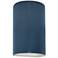 Ambiance 9.5"H Midnight Sky and White Cylinder Closed Top LED Wall Sco