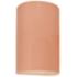 Ambiance 9 1/2"H Blush Cylinder Closed LED Outdoor Sconce