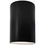 Ambiance 9 1/2"H Carbon Black Cylinder Closed Outdoor Sconce