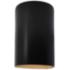 Ambiance 9 1/2"H Carbon Gold Closed ADA Outdoor Wall Sconce