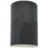 Ambiance 9 1/2"H Gray Cylinder Closed LED Outdoor Sconce