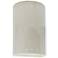 Ambiance 9 1/2"H White Crackle Cylinder LED Outdoor Sconce