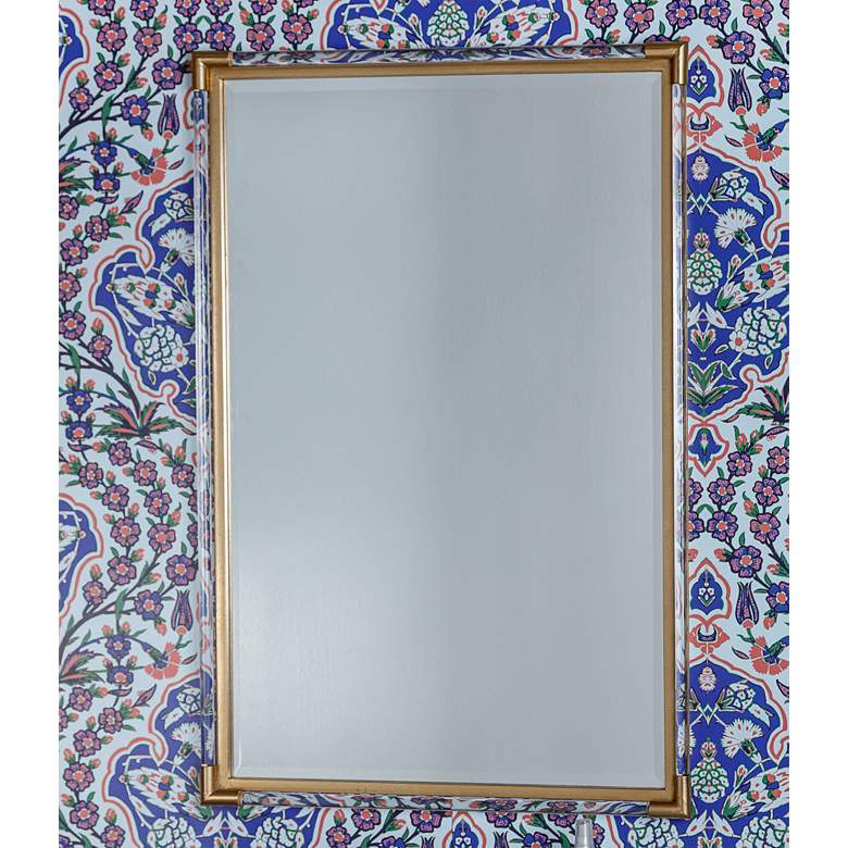 Image 1 Ambrose Clear Acrylic Gold 24 1/4 inch x 36 1/4 inch Wall Mirror