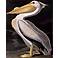 American White Pelican Giclee 40" High Canvas Wall Art