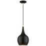 Andes 1 Light Shiny Black Mini Pendant with Polished Brass Accents