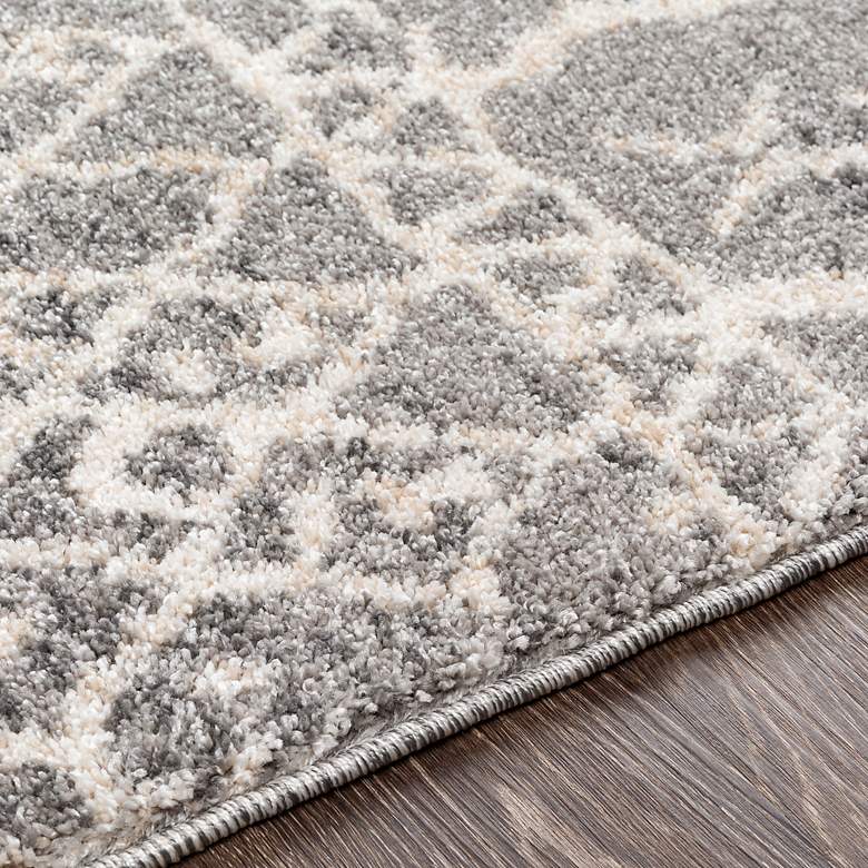 Image 5 Andorra ARD-2304 5'3"x7'3" Gray and White Indoor Area Rug more views