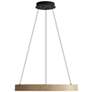 1_Anello 24" LED Pendant in Driftwood with No Shade