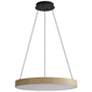 2_Anello 24" LED Pendant in Driftwood with No Shade more views