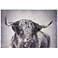 Animal Portraits 36" Wide Bull Canvas Wall Art