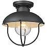2_Ansel 11" Wide Black Cage Outdoor Ceiling Light