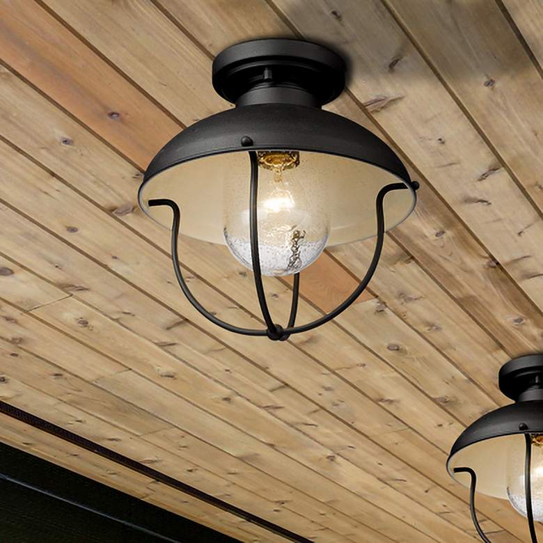 Image 1 Ansel 11" Wide Black Cage Outdoor Ceiling Light