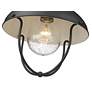 7_Ansel 11" Wide Black Cage Outdoor Ceiling Light more views