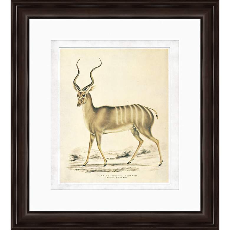 Image 1 Antelope 21 1/2 inch Framed Giclee Wall Art