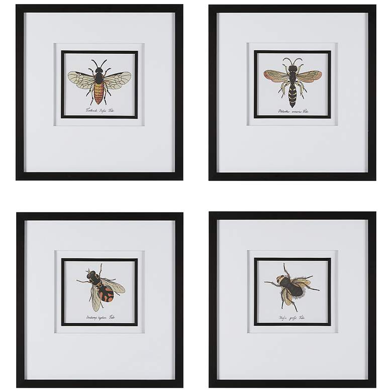 Image 2 Anthophila Scientific Bee 21 inchH 4-Piece Framed Wall Art Set