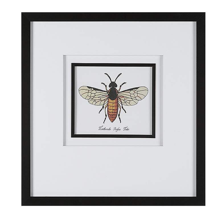 Image 3 Anthophila Scientific Bee 21 inchH 4-Piece Framed Wall Art Set more views