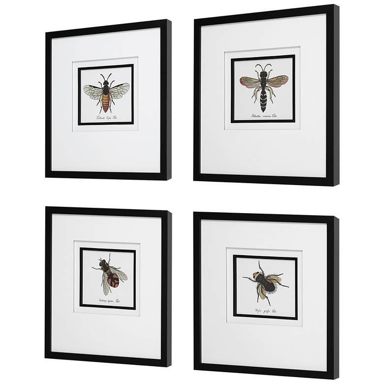 Image 4 Anthophila Scientific Bee 21 inchH 4-Piece Framed Wall Art Set more views