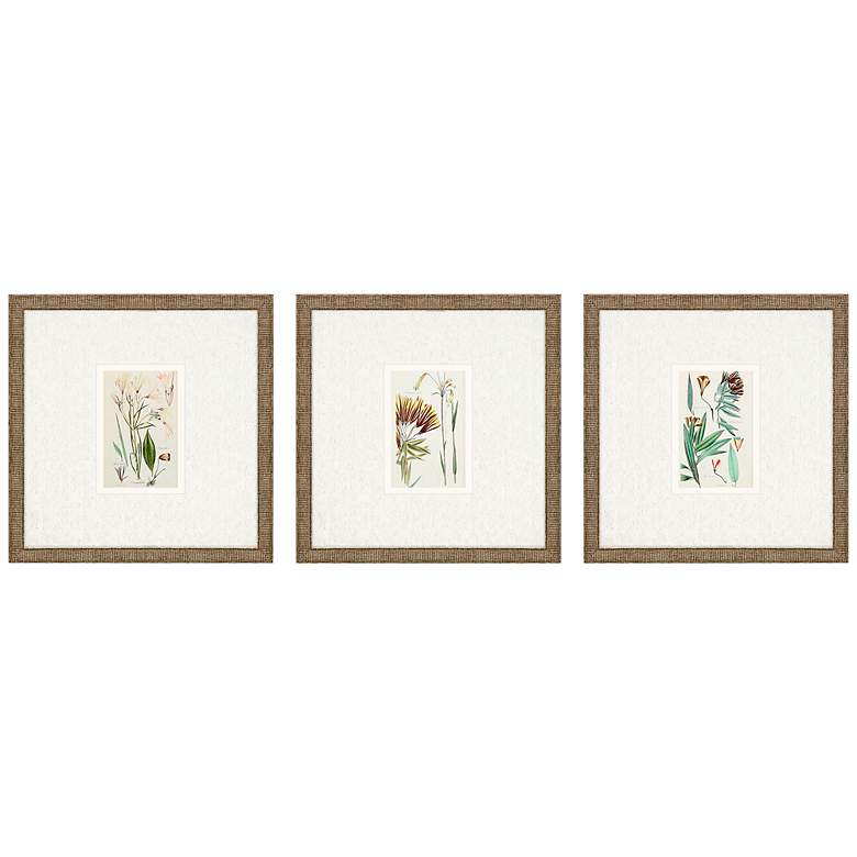 Image 3 Antique Botanical I 13" Square 3-Piece Framed Wall Art Set