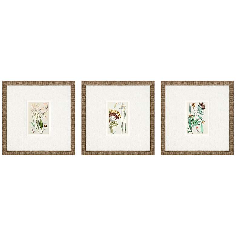 Image 3 Antique Botanical I 13 inch Square 3-Piece Framed Wall Art Set