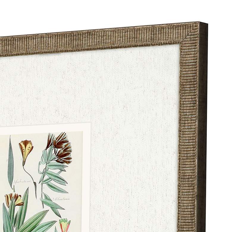 Image 4 Antique Botanical I 13" Square 3-Piece Framed Wall Art Set more views
