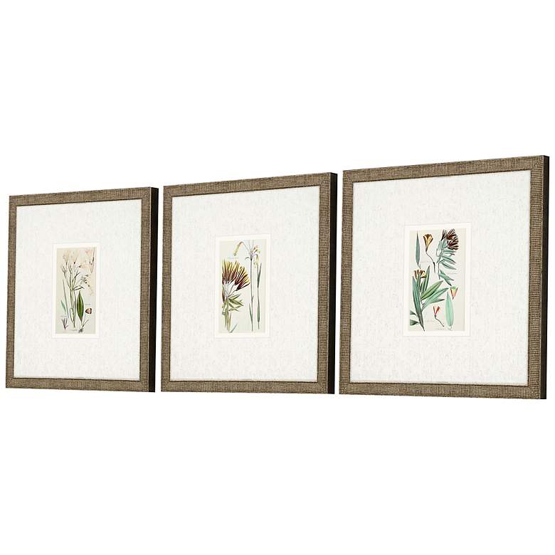 Image 5 Antique Botanical I 13" Square 3-Piece Framed Wall Art Set more views