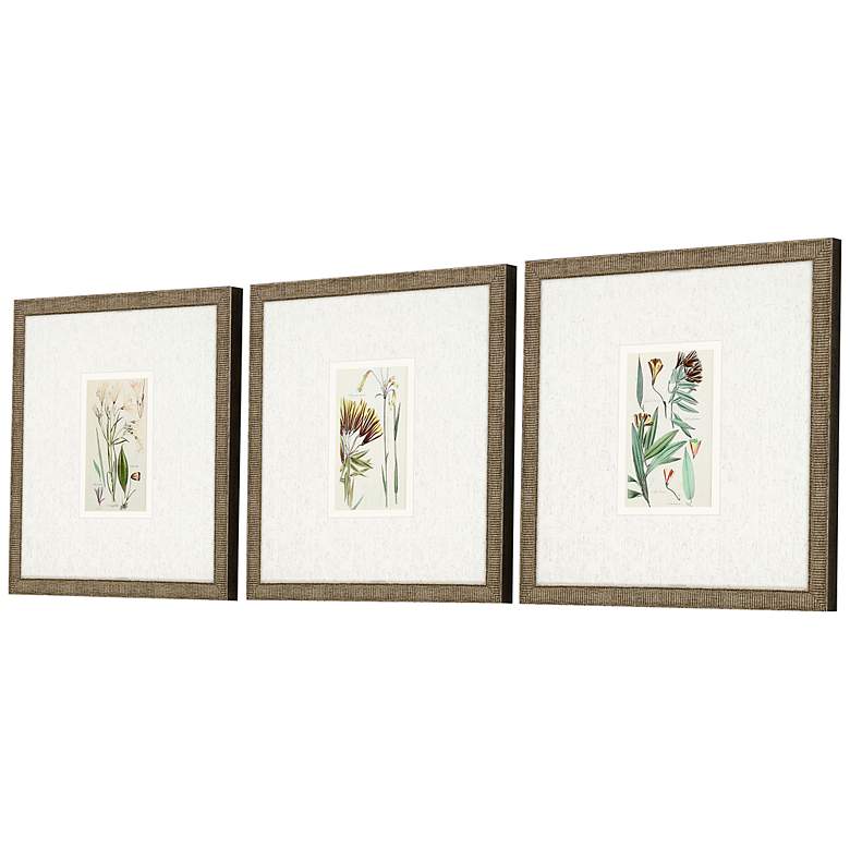 Image 5 Antique Botanical I 13 inch Square 3-Piece Framed Wall Art Set more views