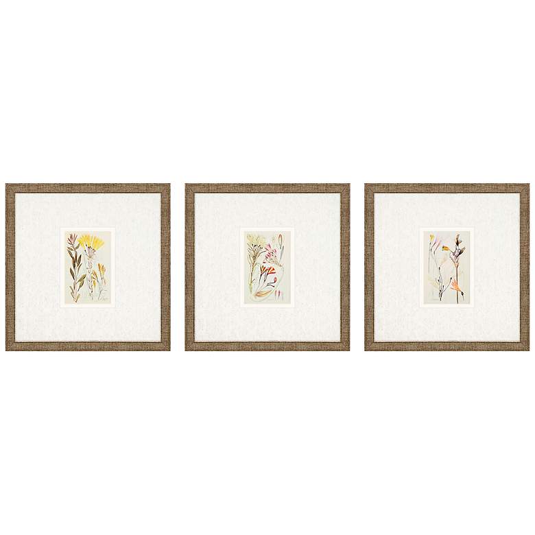 Image 3 Antique Botanical II 13 inch Square 3-Piece Framed Wall Art Set