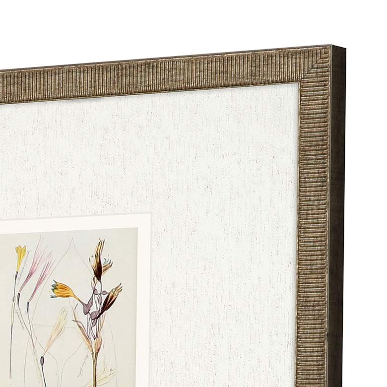 Image 4 Antique Botanical II 13" Square 3-Piece Framed Wall Art Set more views