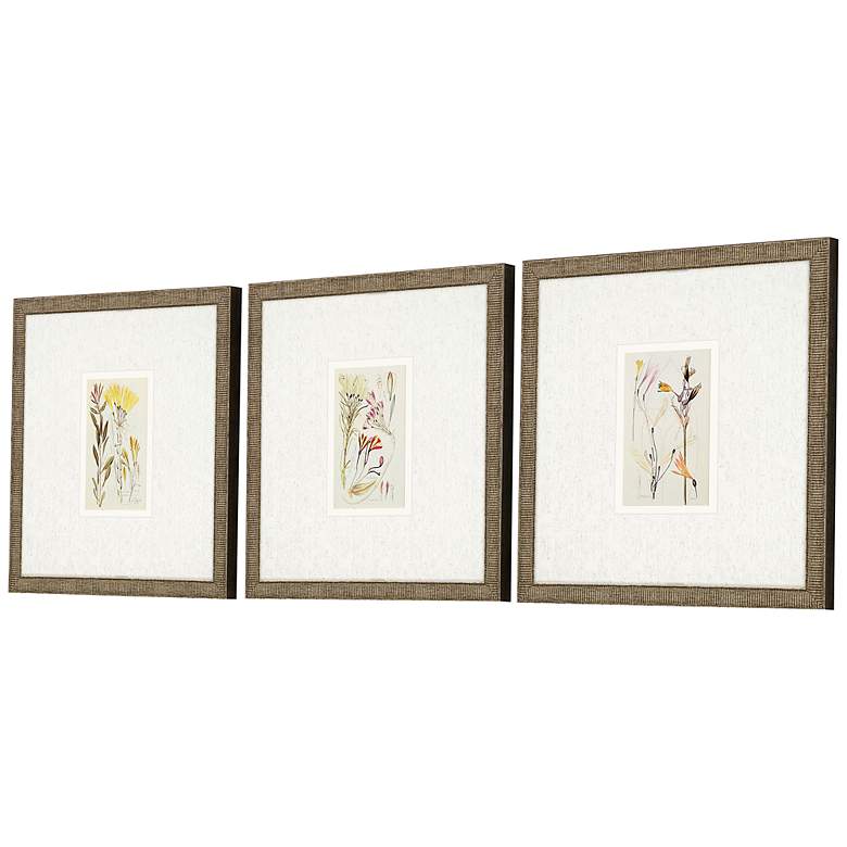 Image 5 Antique Botanical II 13 inch Square 3-Piece Framed Wall Art Set more views