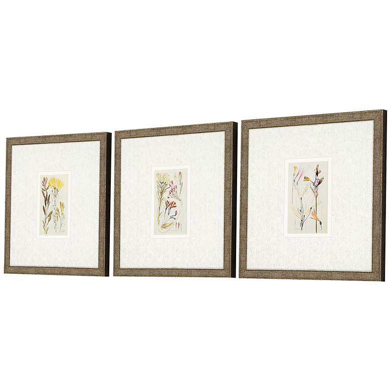Image 5 Antique Botanical II 13" Square 3-Piece Framed Wall Art Set more views