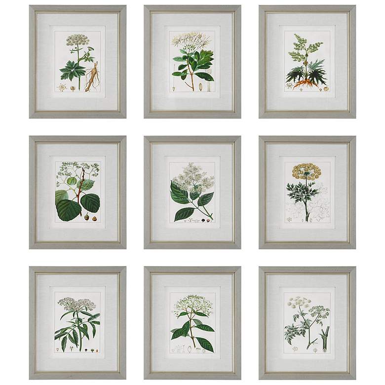 Image 2 Antique Botanicals 19 1/2" High 9-Piece Framed Wall Art Set
