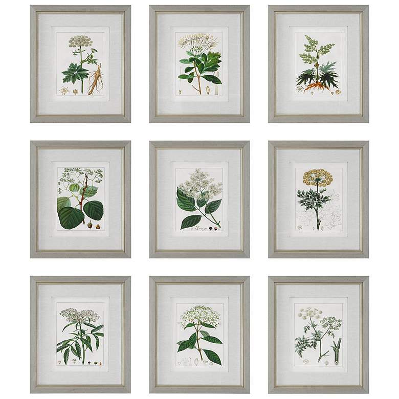 Image 1 Antique Botanicals 19 1/2 inch High 9-Piece Framed Wall Art Set