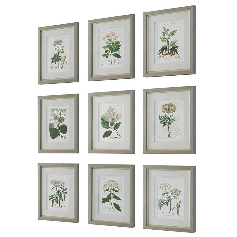Image 4 Antique Botanicals 19 1/2" High 9-Piece Framed Wall Art Set more views