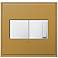 Antique Bronze 2-Gang Cast Metal Wall Plate w/ Switch and Dimmer