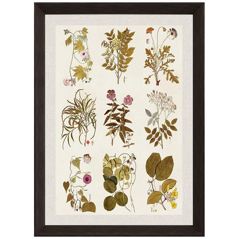 Image 1 Antique Floral II 44 inch High Giclee Framed Wall Art