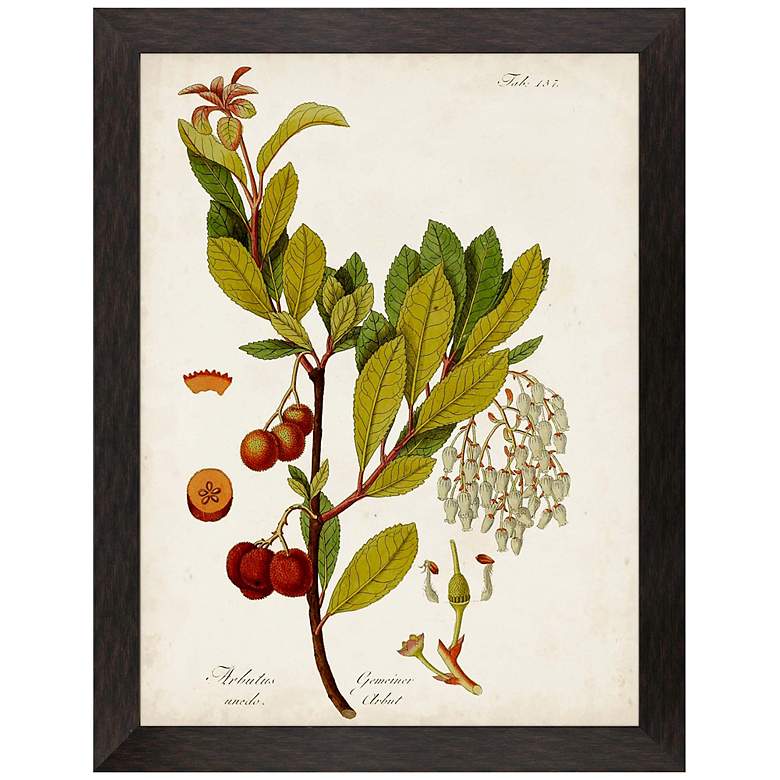Image 1 Antique Greenery III 45"H Rectangular Giclee Framed Wall Art