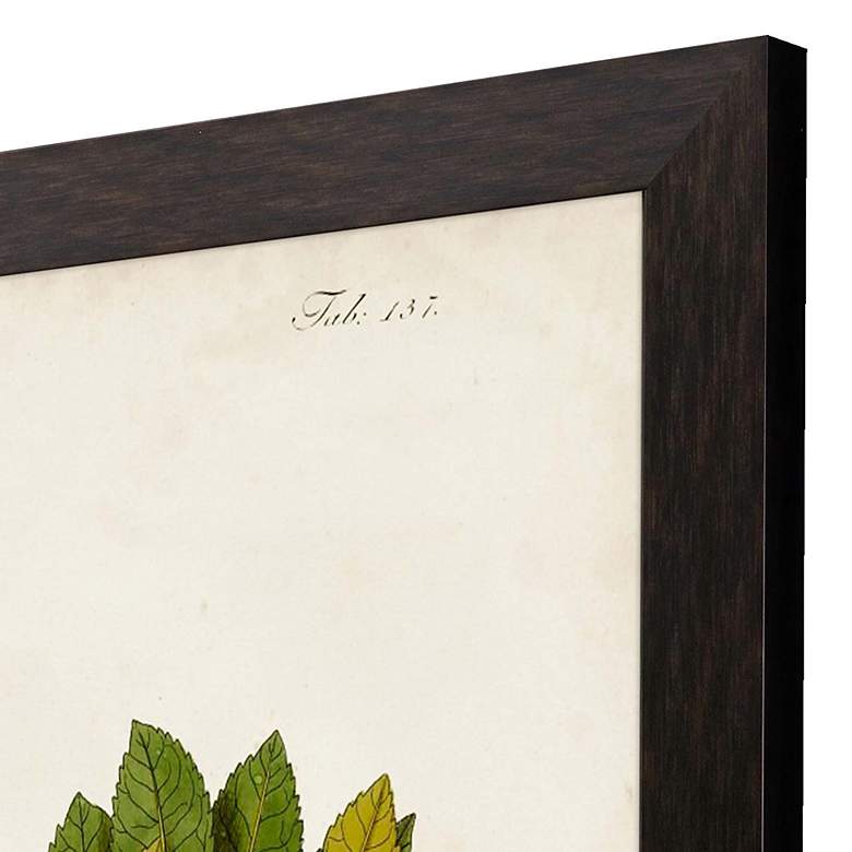 Image 2 Antique Greenery III 45"H Rectangular Giclee Framed Wall Art more views