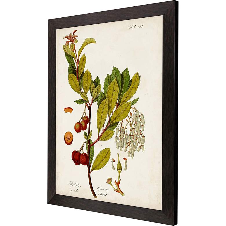 Image 3 Antique Greenery III 45"H Rectangular Giclee Framed Wall Art more views