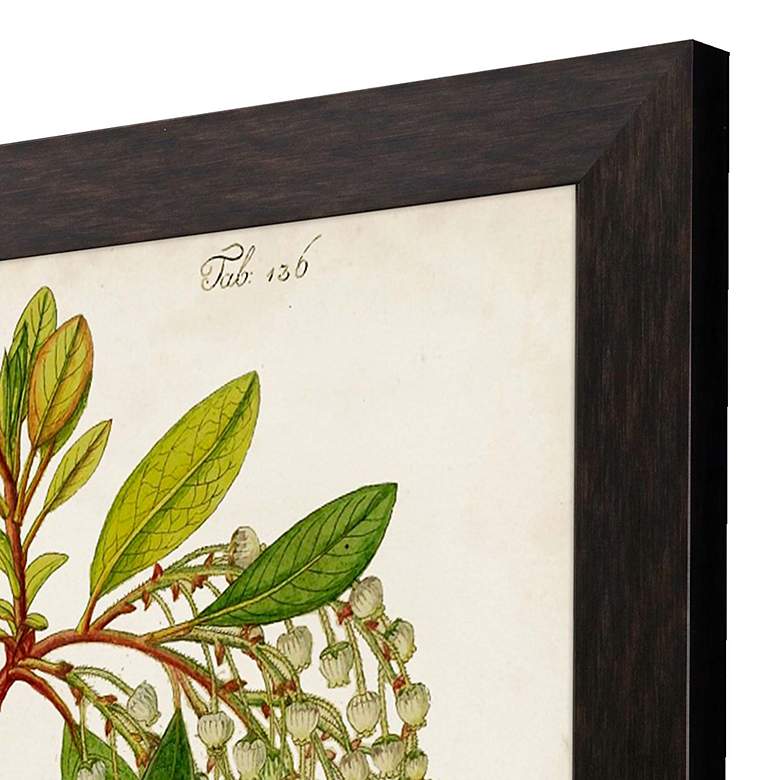 Image 2 Antique Greenery IV 45"H Rectangular Giclee Framed Wall Art more views