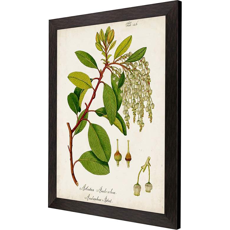 Image 3 Antique Greenery IV 45"H Rectangular Giclee Framed Wall Art more views