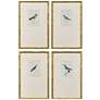 Thumbnail1 of Antique Hummingbirds 12"W x 19"H Traditional Framed Art Set of 4