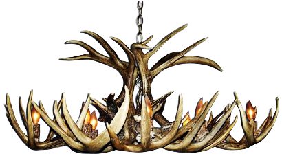 Antler 26" Wide Natural-Shed Whitetail 8-Light Chandelier