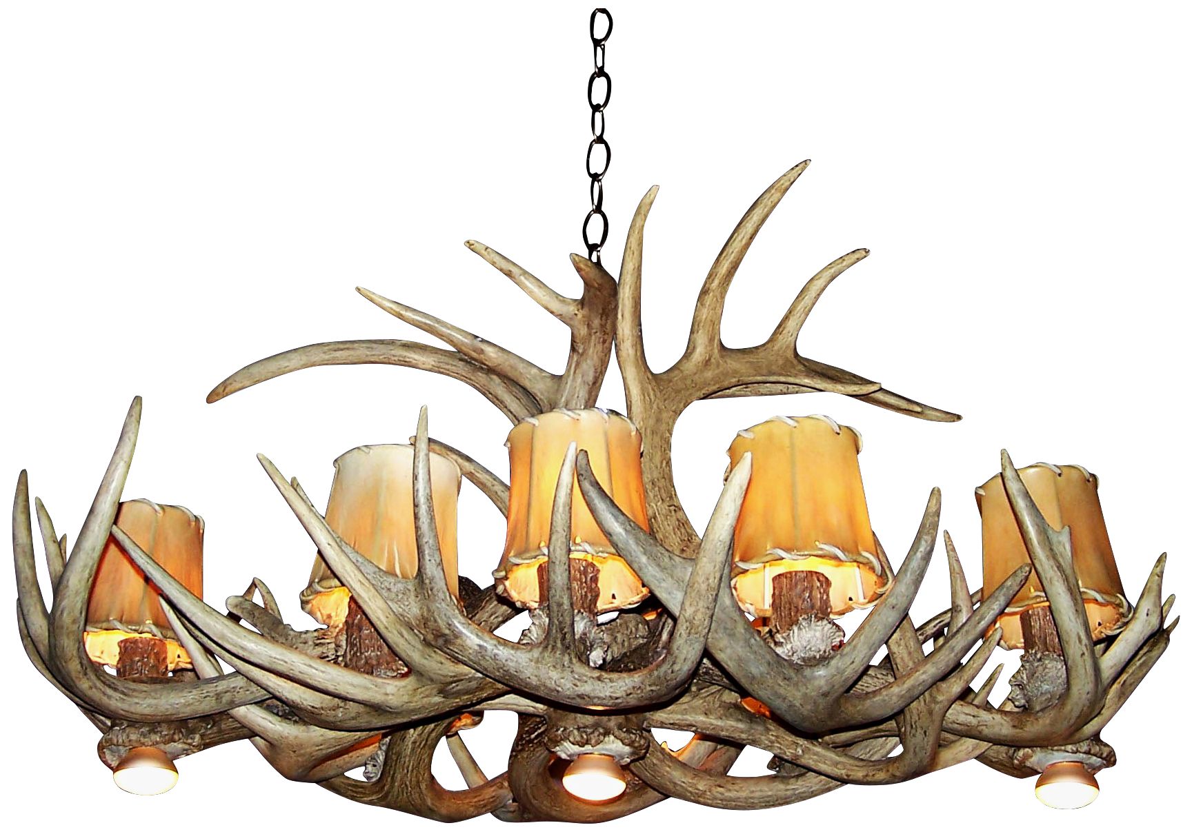 Image 3 Antler 26" Wide Natural-Shed Whitetail 8-Light Chandelier more views